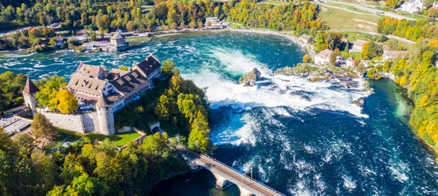 Rhine Falls Half-Day Trip