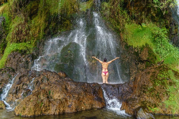 Coffee Farm + Hot Springs Excursion