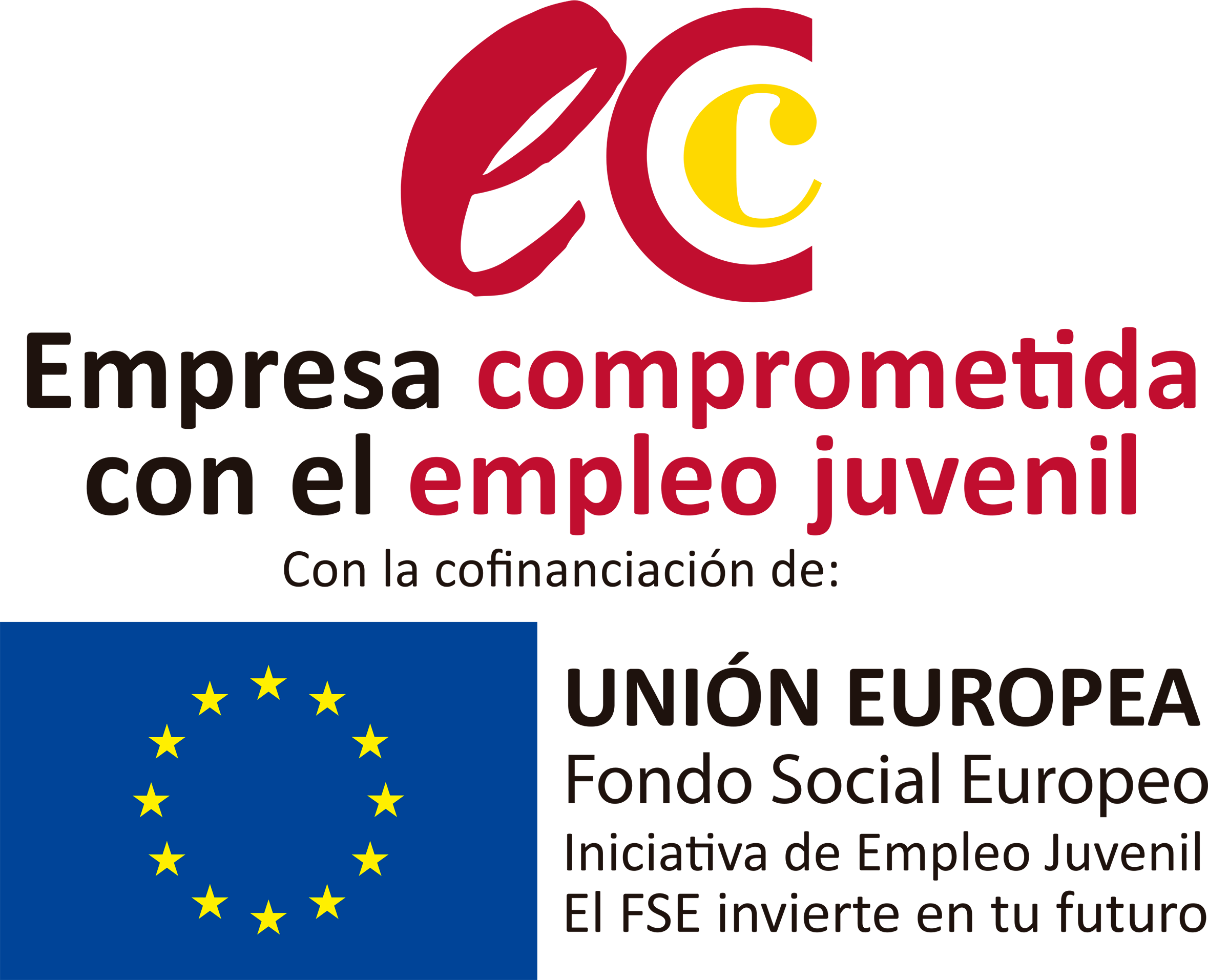 Iniciativa de Empleo Juvenil